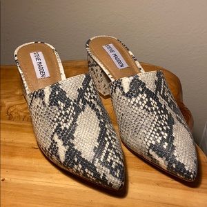 Steve Madden snakeskin heeled mule